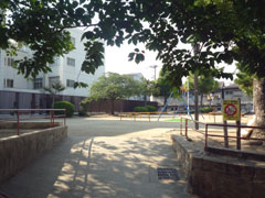 南恩加島西公園